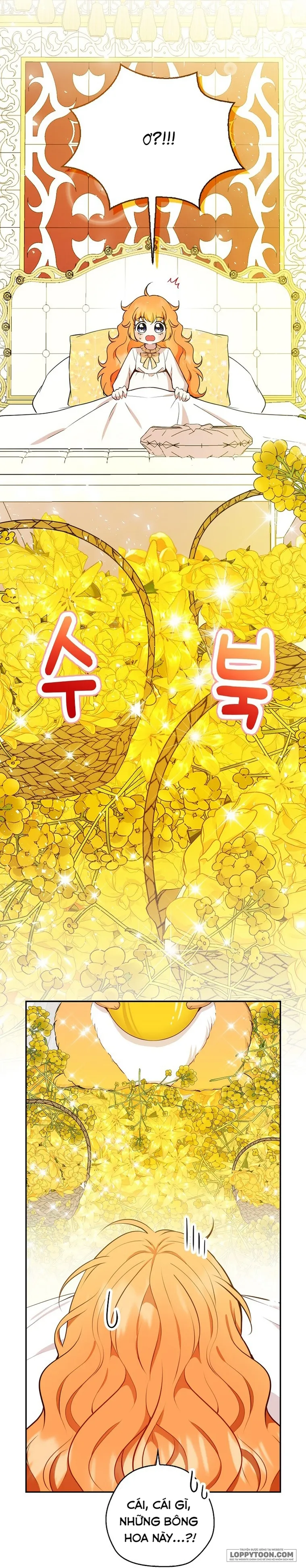 Sóc Con Tài Năng Chap 21 - trang 4