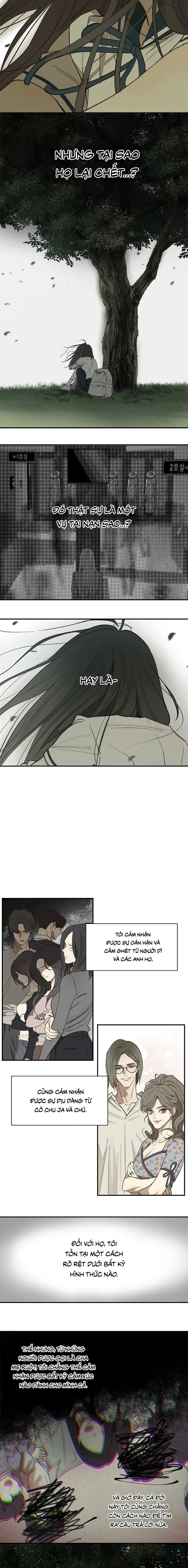 Đóa Hoa Là Mồi Nhử Chap 37 - trang 5