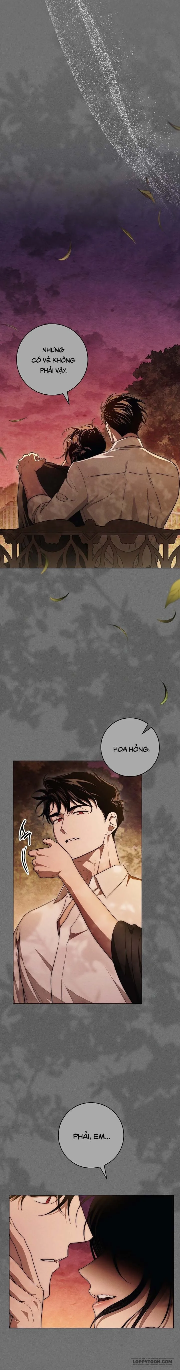Mộ Thiên Nga Chap 23 - trang 14