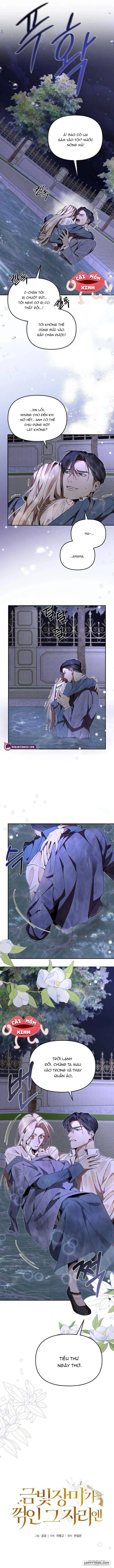 Nơi Đóa Hồng Vàng Úa Tàn Chap 3 - trang 8