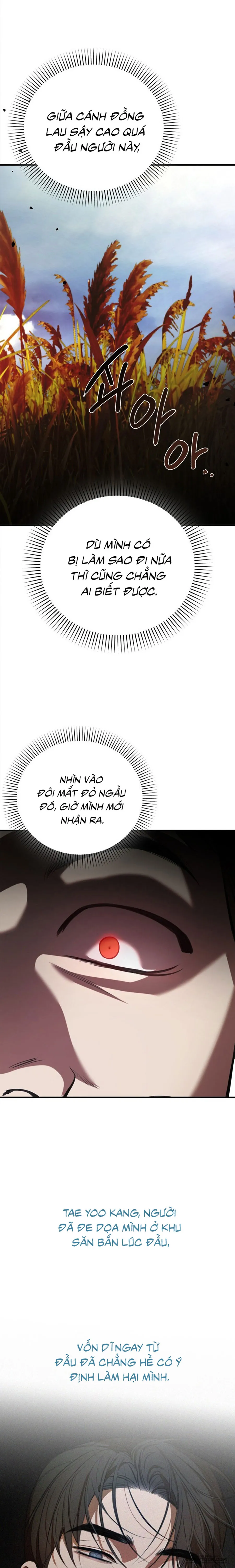 Tiêu Bản Chap 17 - trang 5