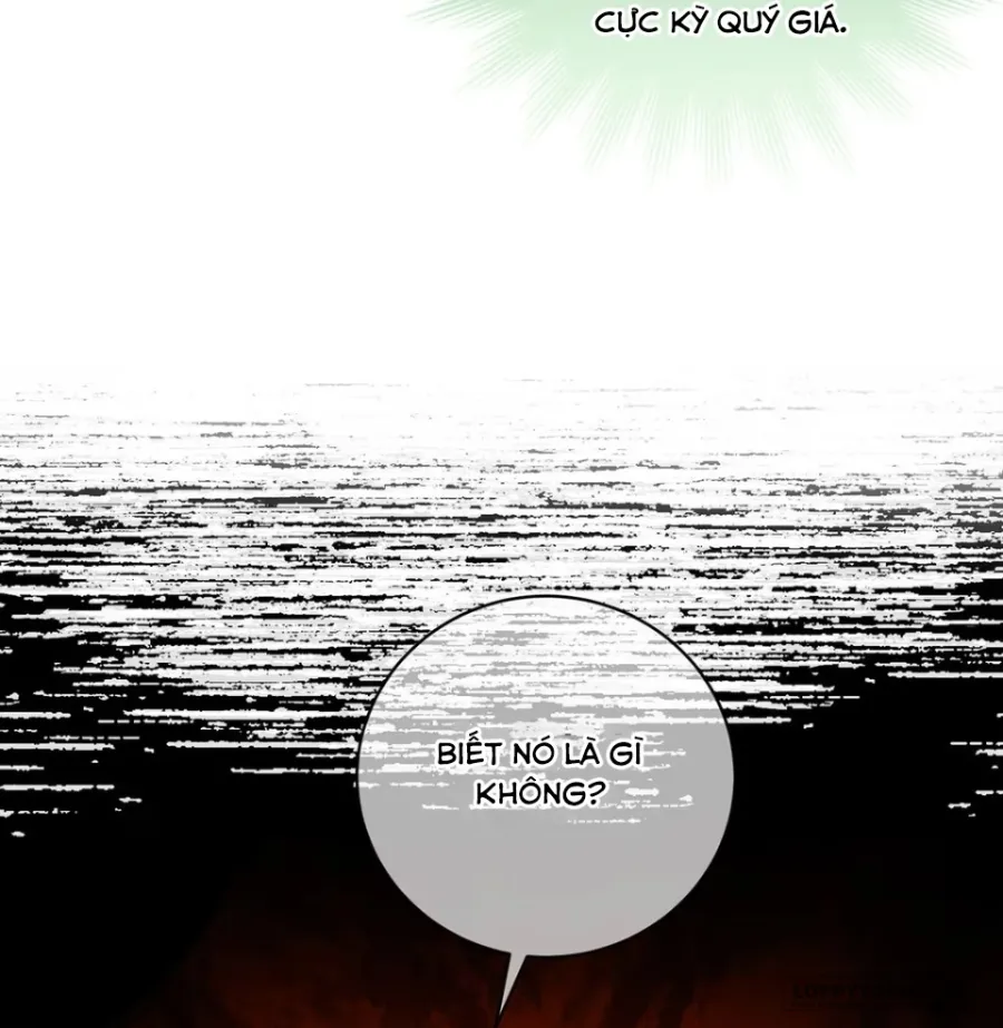 Dâng Cá Muối Cho Sư Tổ Chap 8 - trang 13
