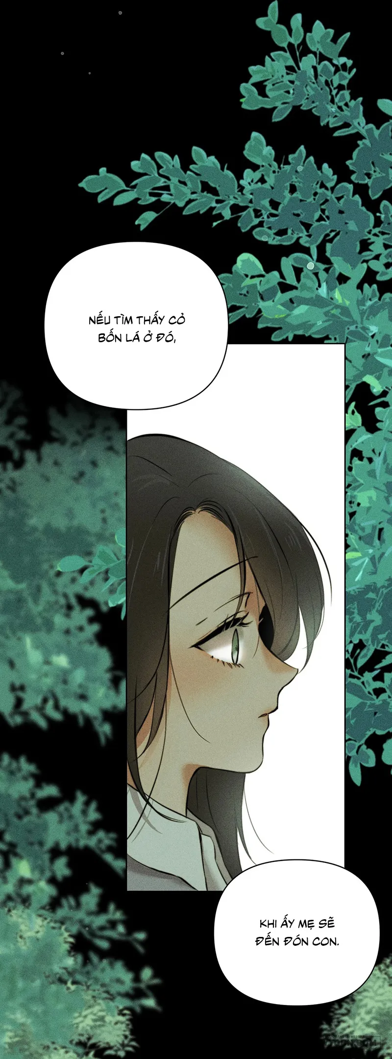 Những Ngày Cỏ Ba Lá Chap 0 - trang 6