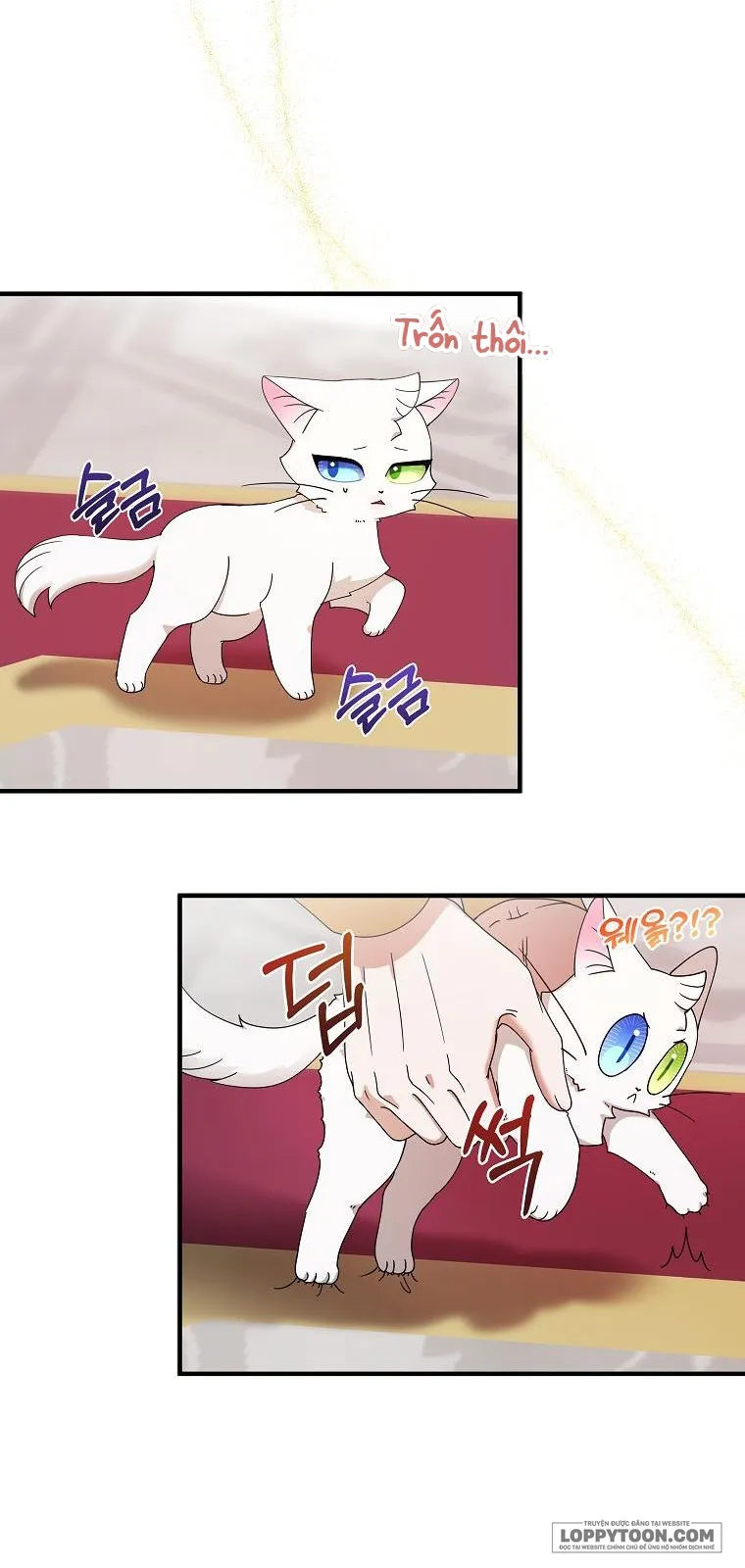Trở Thành Miêu Nữ Của Hoàng Đế Chap 2 - trang 36