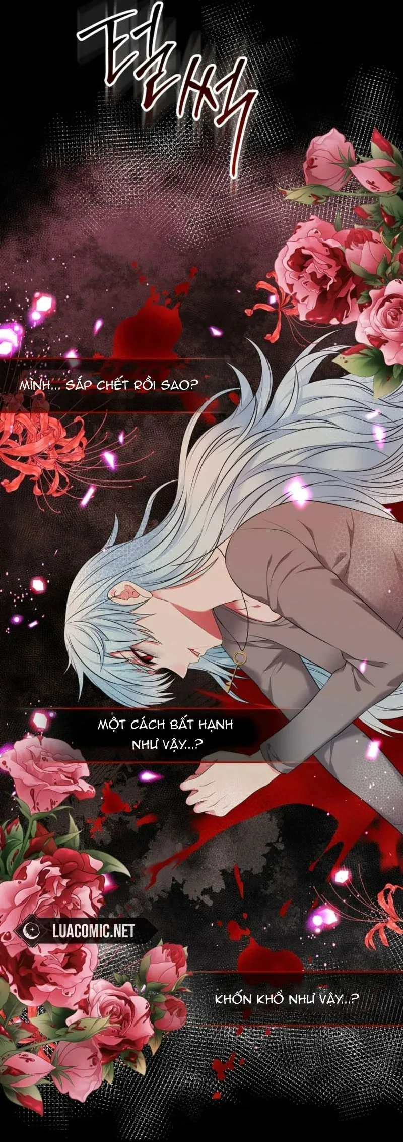 Tôi Sẽ Ly Hôn Với Anh Trai Nữ Chính Chap 94 - trang 69