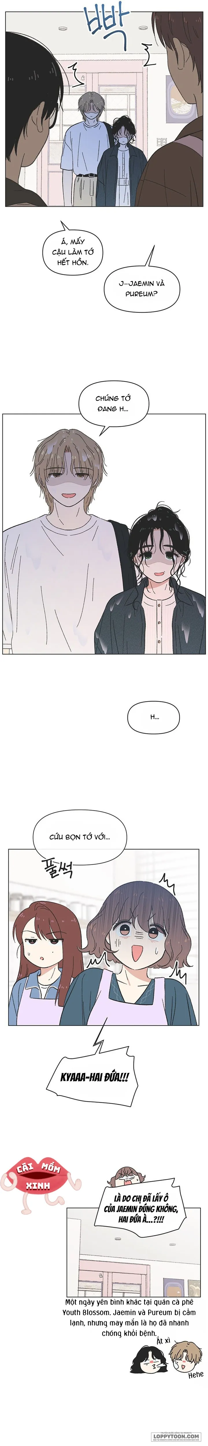 Thanh Xuân Ngọt Ngào Chap 68 - trang 15