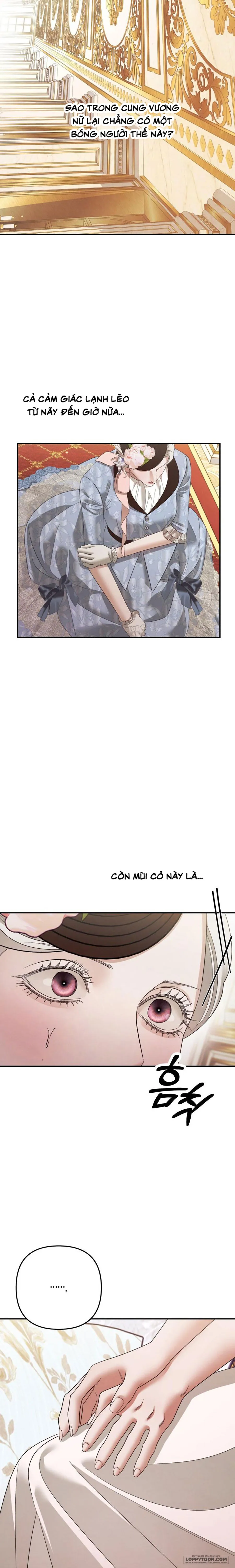 Cuộc Hôn Nhân Bị Cướp Đoạt Chap 49 - trang 27