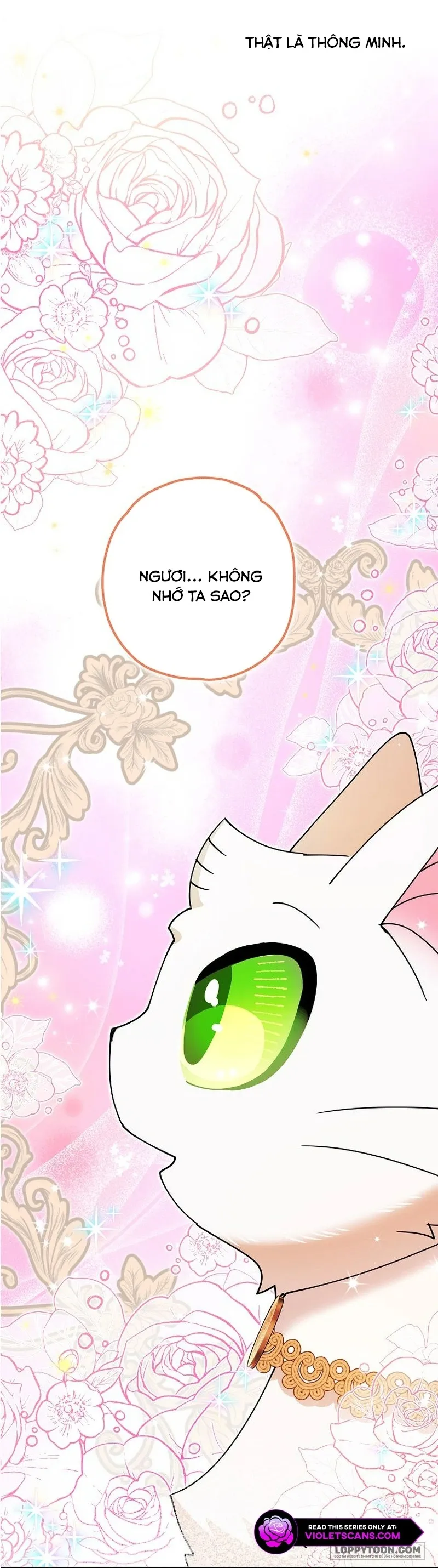 Trở Thành Miêu Nữ Của Hoàng Đế Chap 32 - trang 52