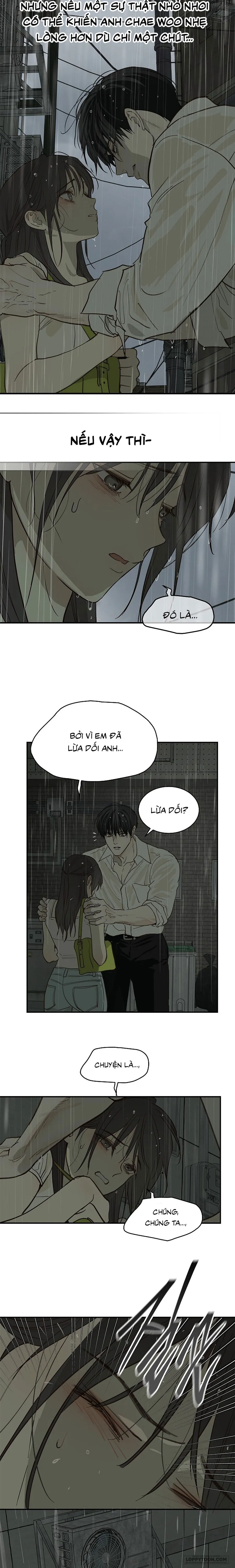 Đóa Hoa Là Mồi Nhử Chap 47 - trang 11