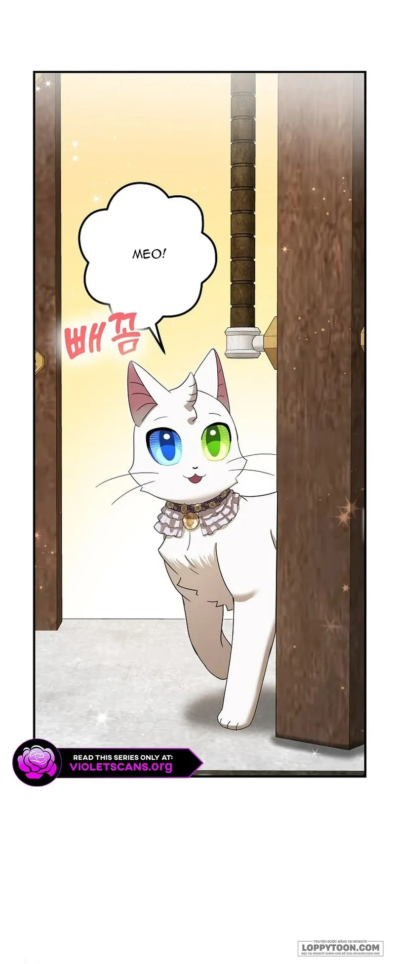 Trở Thành Miêu Nữ Của Hoàng Đế Chap 73 - trang 33