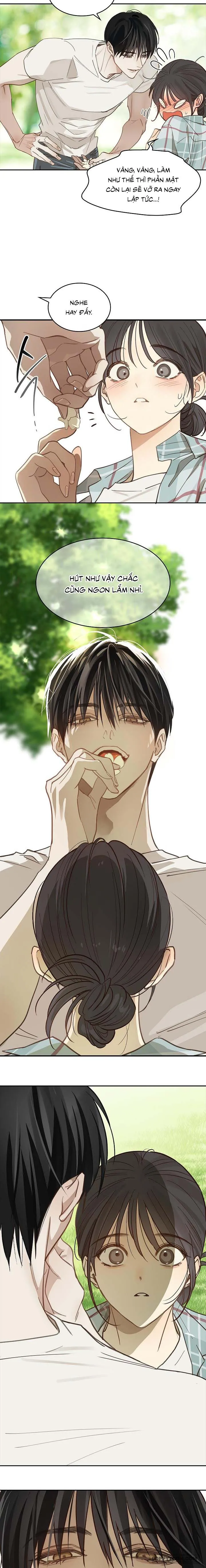 [KHÔNG CHE] Đóa Hoa Là Mồi Nhử Chap 19 - trang 4
