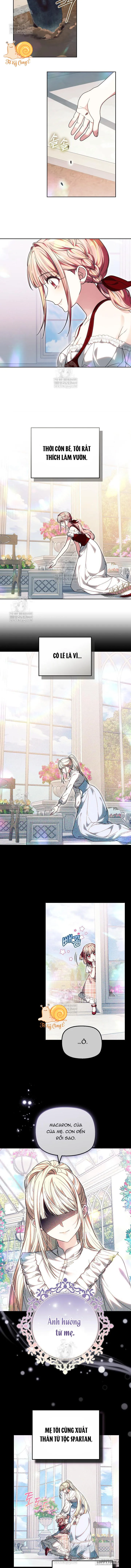 Tiểu Thư Mạnh Mẽ Muốn Trở Nên Yếu Đuối Chap 27 - trang 9