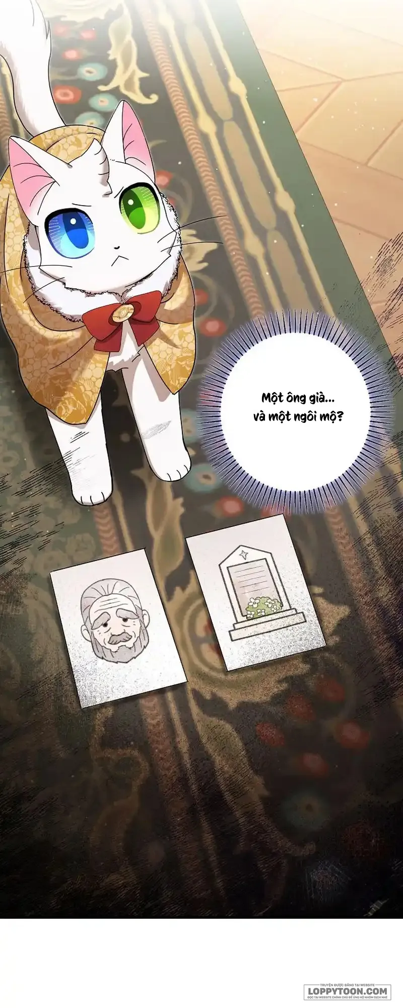 Trở Thành Miêu Nữ Của Hoàng Đế Chap 27 - trang 25