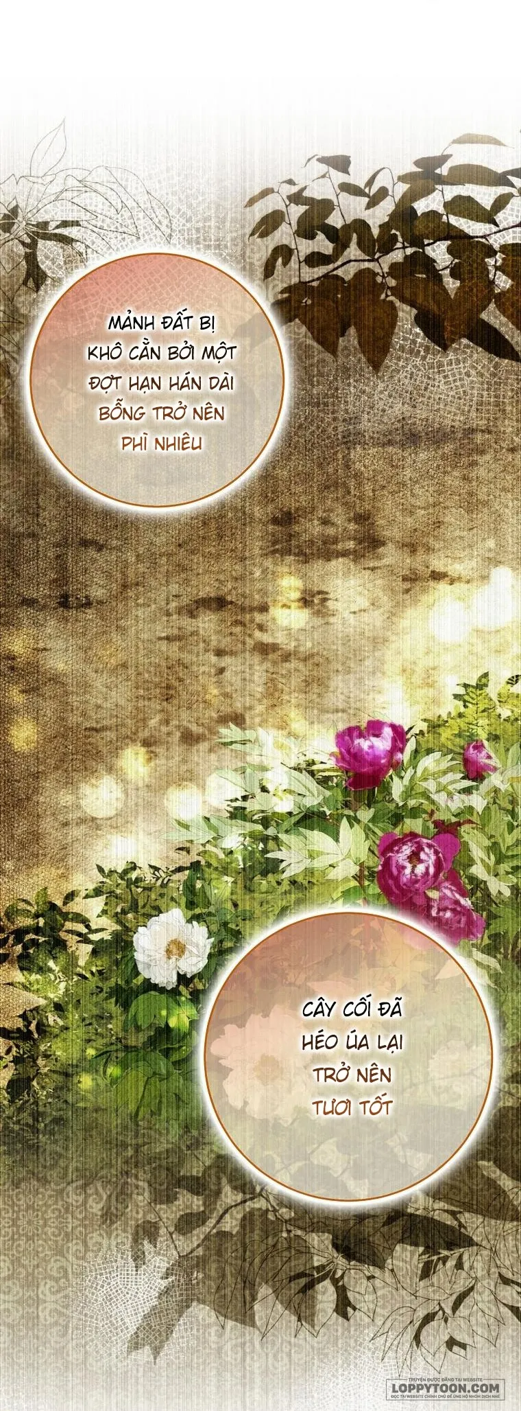 Sóc Con Tài Năng Chap 45 - trang 3