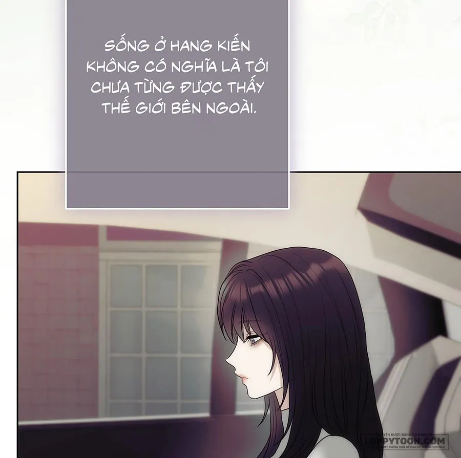 Hang Kiến Chap 22 - trang 33