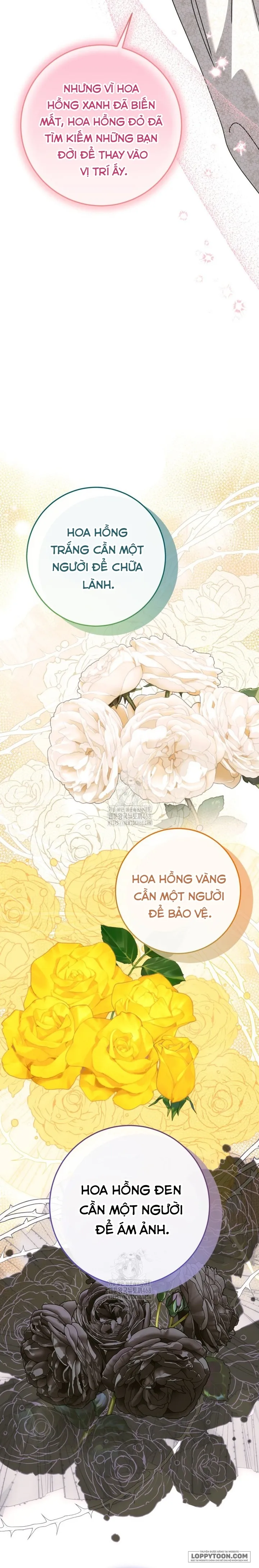 Tôi Gặp Nam Chính Trong Tù Chap 74 - trang 26