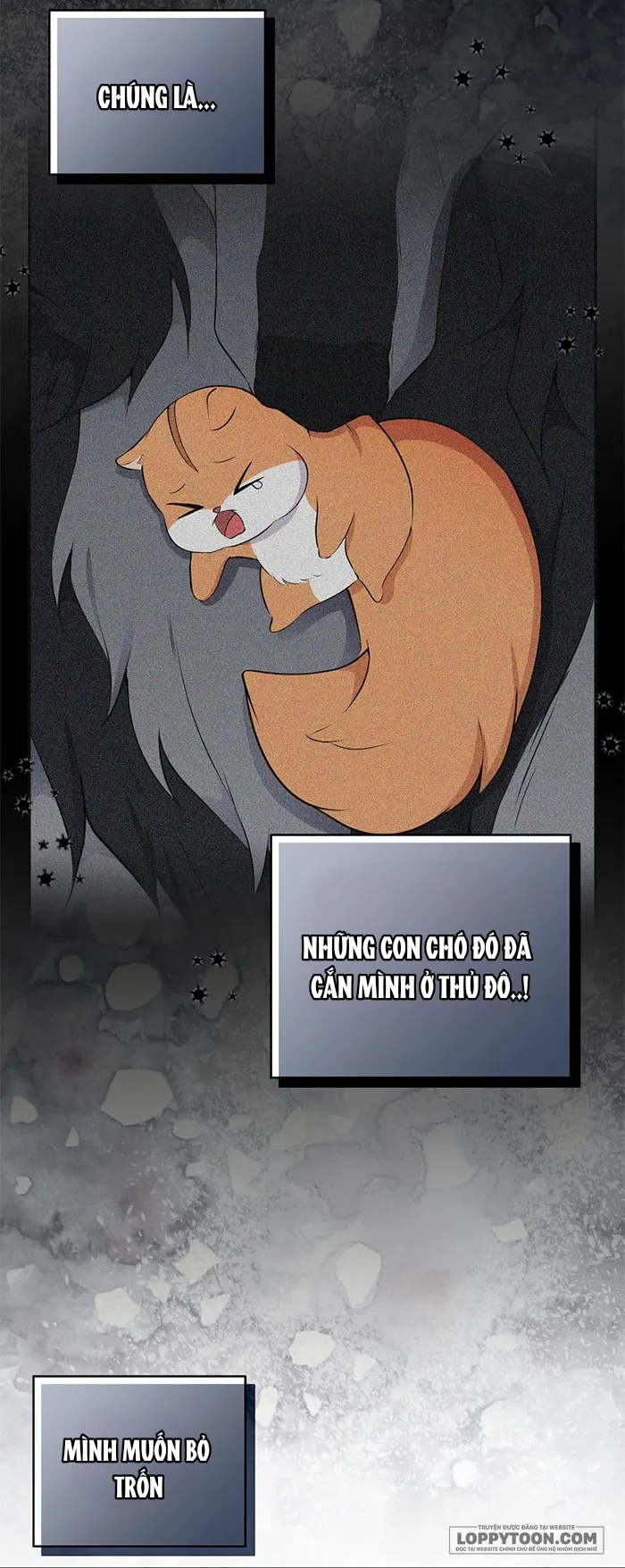 Sóc Con Tài Năng Chap 30 - trang 3