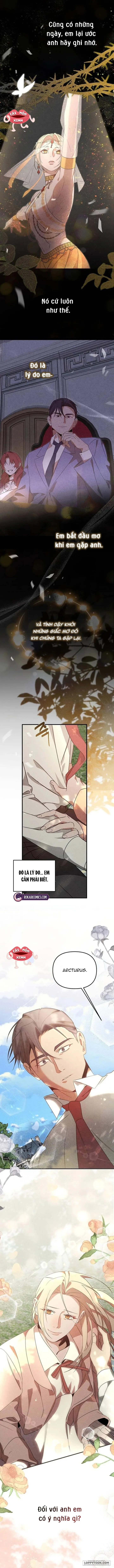 Nơi Đóa Hồng Vàng Úa Tàn Chap 25 - trang 13
