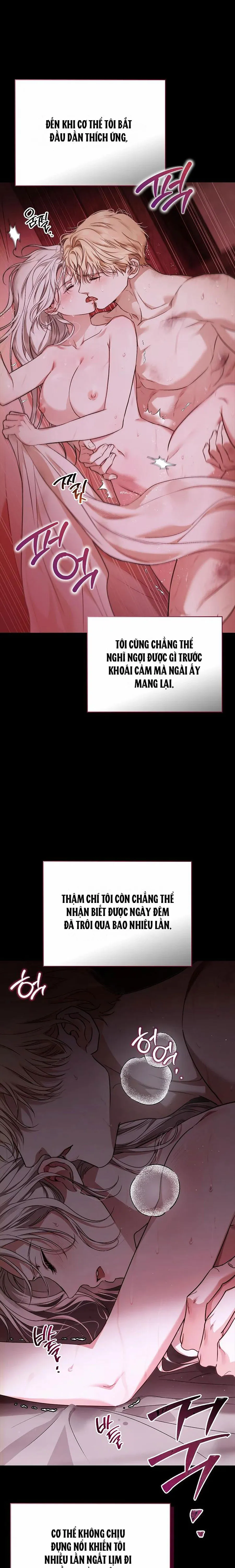 Nhưng Rõ Ràng Chồng Tôi Là Thánh Kỵ Sĩ Mà? Chap 3 - 🔞 - trang 15