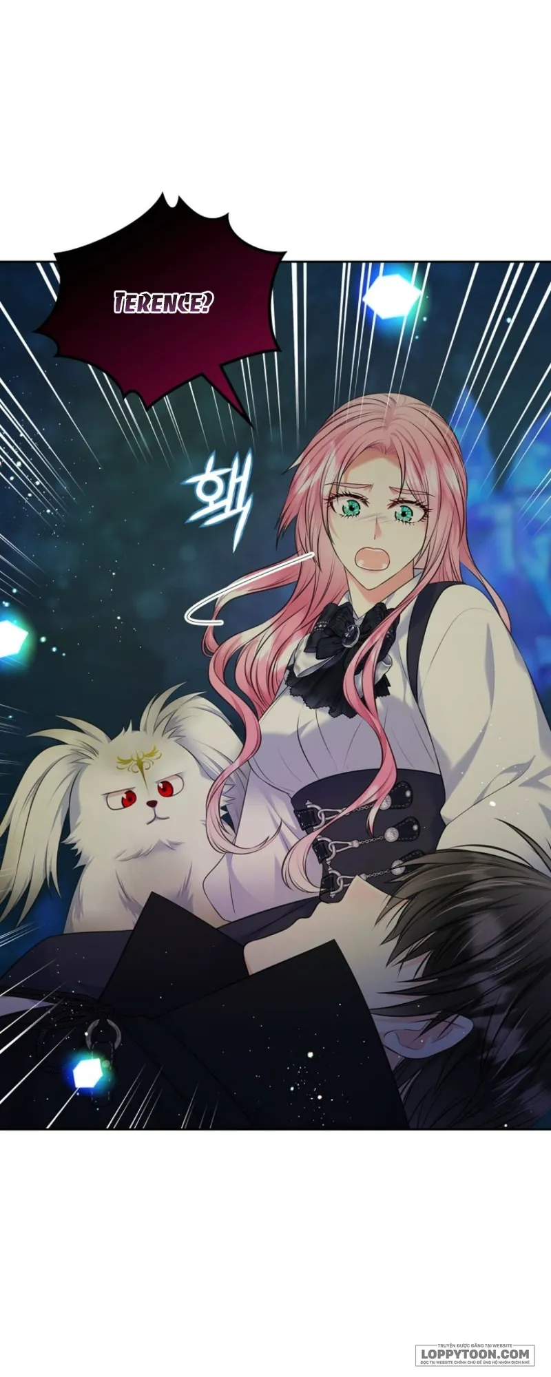 Tôi Sẽ Ly Hôn Với Anh Trai Nữ Chính Chap 77 - trang 10