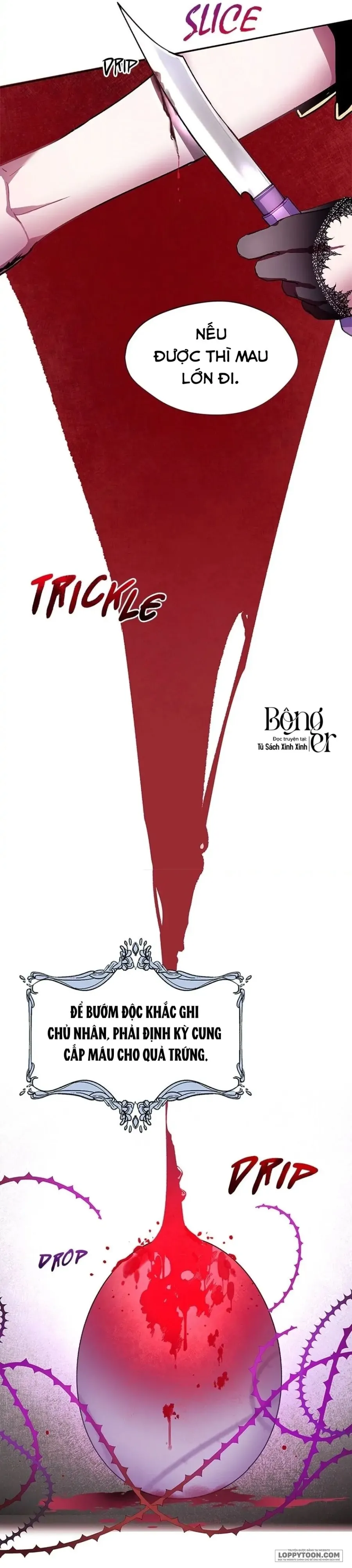 Roxana: Phương Pháp Bảo Vệ Anh Trai Của Nữ Chính Chap 5 - trang 4
