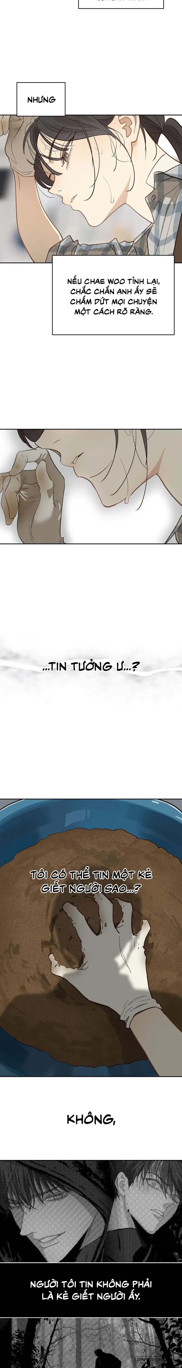 Đóa Hoa Là Mồi Nhử Chap 16 - trang 8