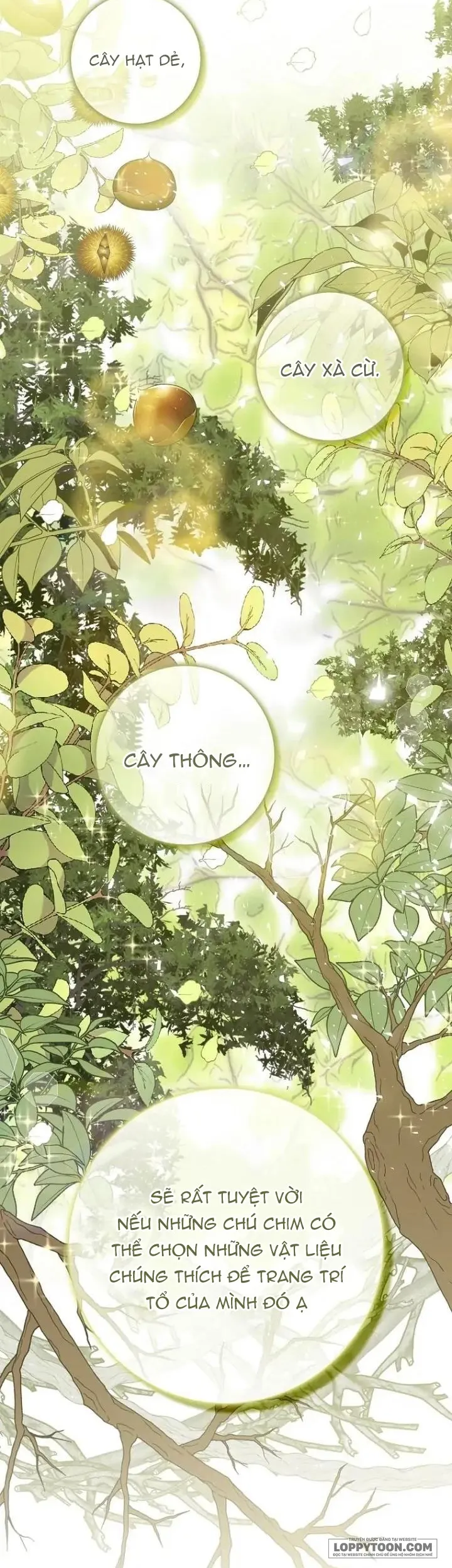 Sóc Con Tài Năng Chap 51 - trang 21