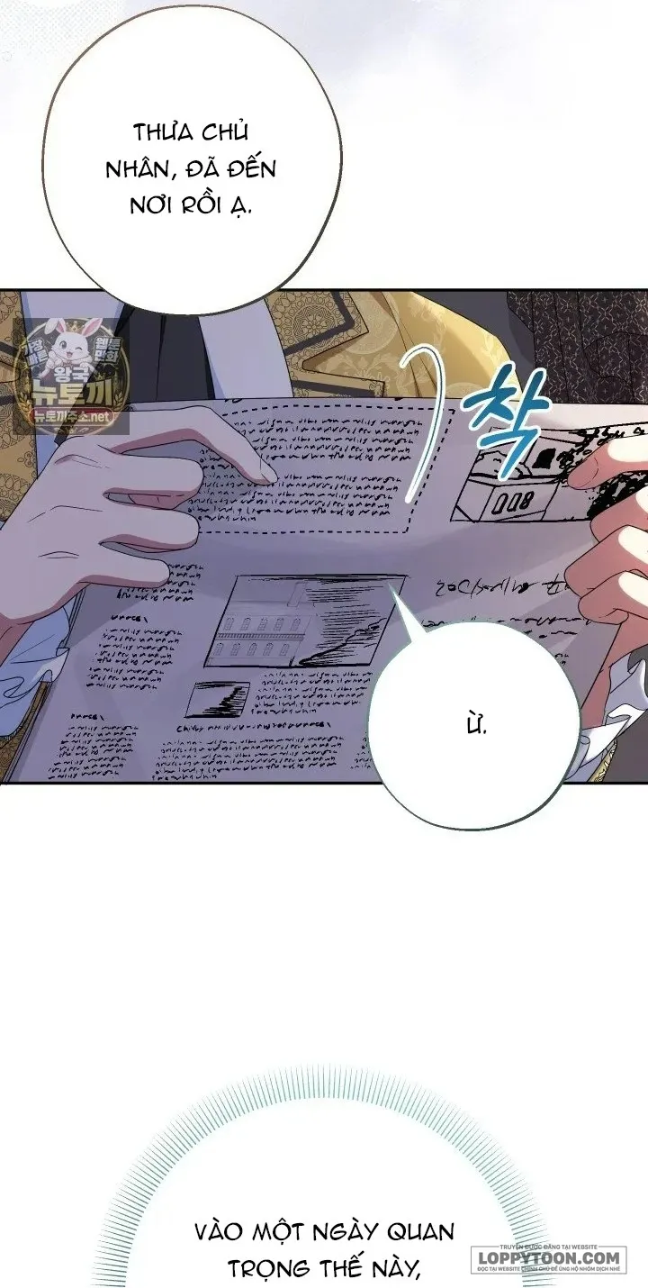 Tiểu Thư Tích Tiền Đi Bụi Chap 114 - trang 13